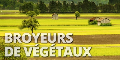 broyeurs végétaux quad