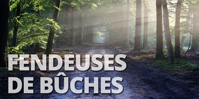 Fendeur de buches